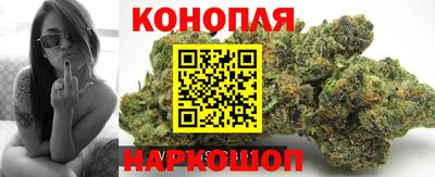 прущие крисы Дубна