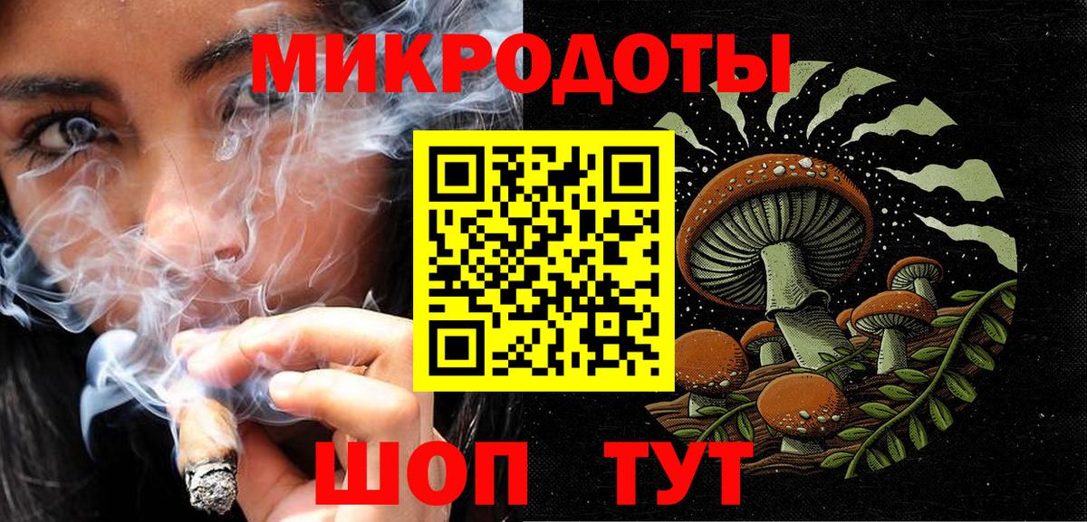 Галлюциногенные грибы Psilocybine cubensis Лесосибирск
